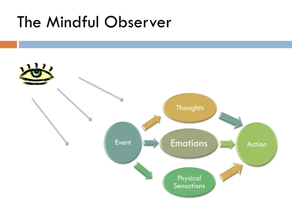 the mindful observer