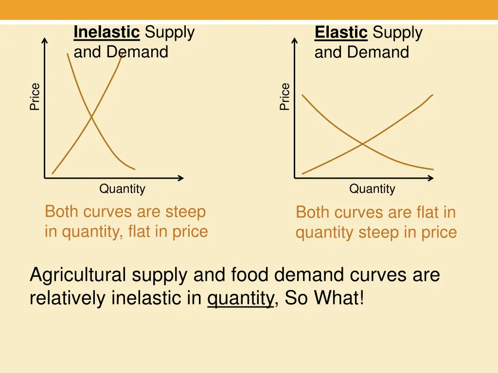 inelastic supply and demand