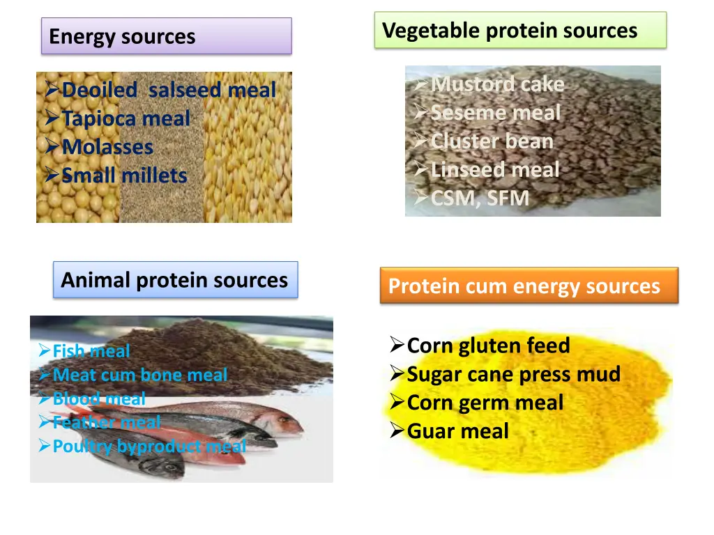 vegetable protein sources