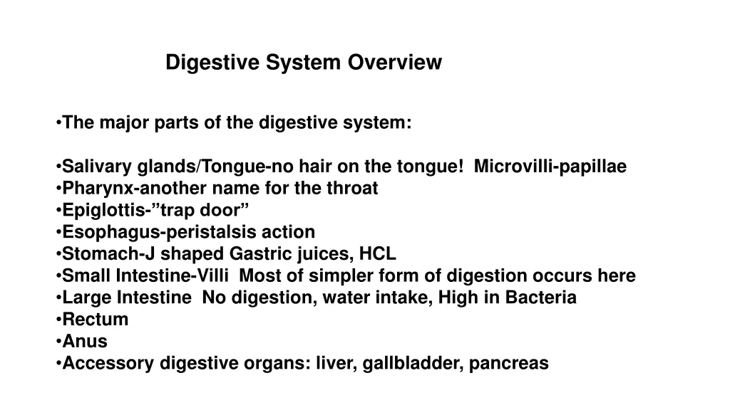 digestive system overview