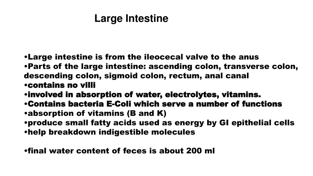 large intestine