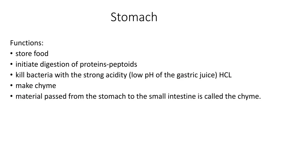 stomach