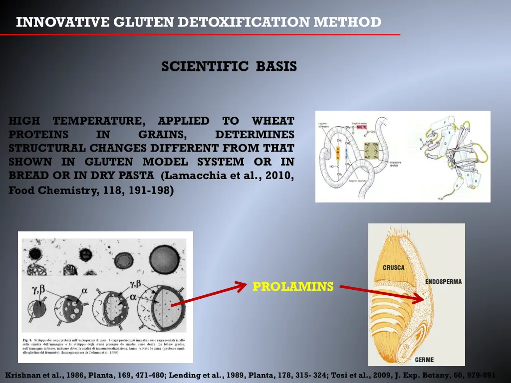 innovative gluten detoxification method 2