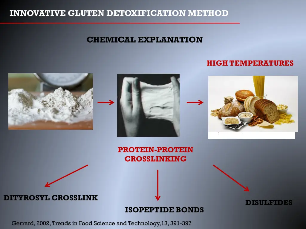 innovative gluten detoxification method 3