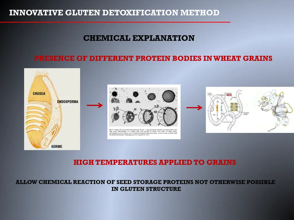 innovative gluten detoxification method 4