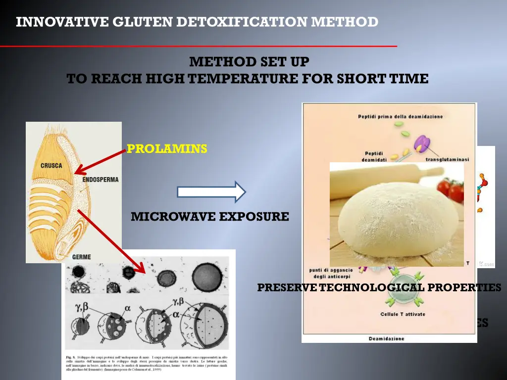 innovative gluten detoxification method 5