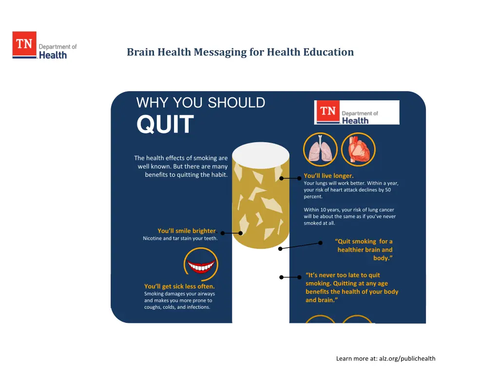 brain health messaging for health education 4