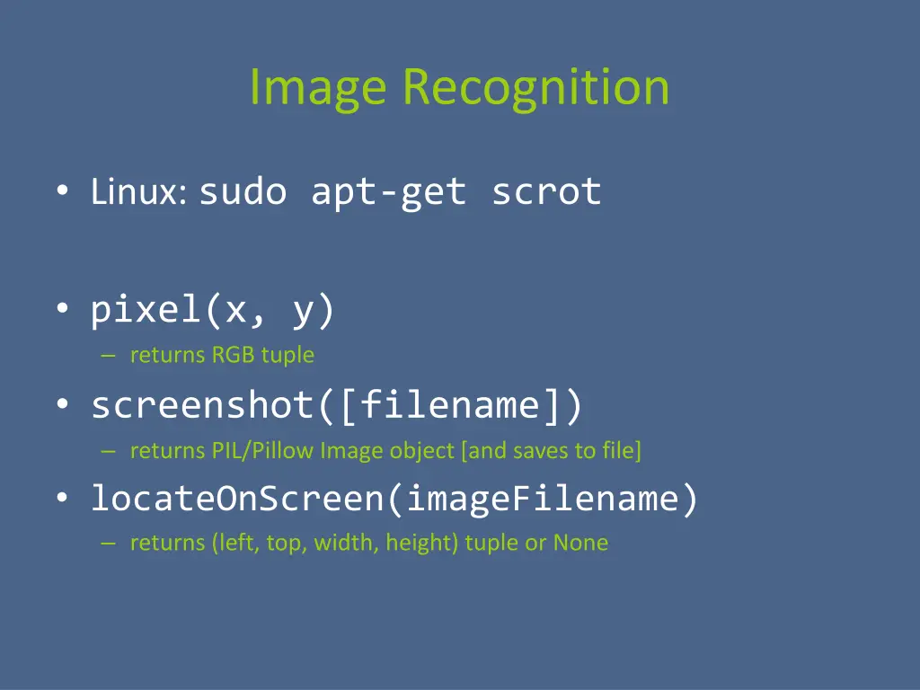 image recognition