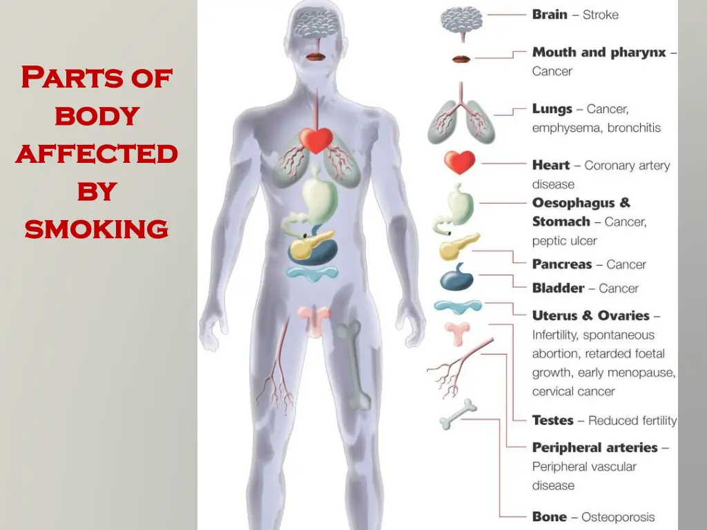 parts of parts of body body affected affected