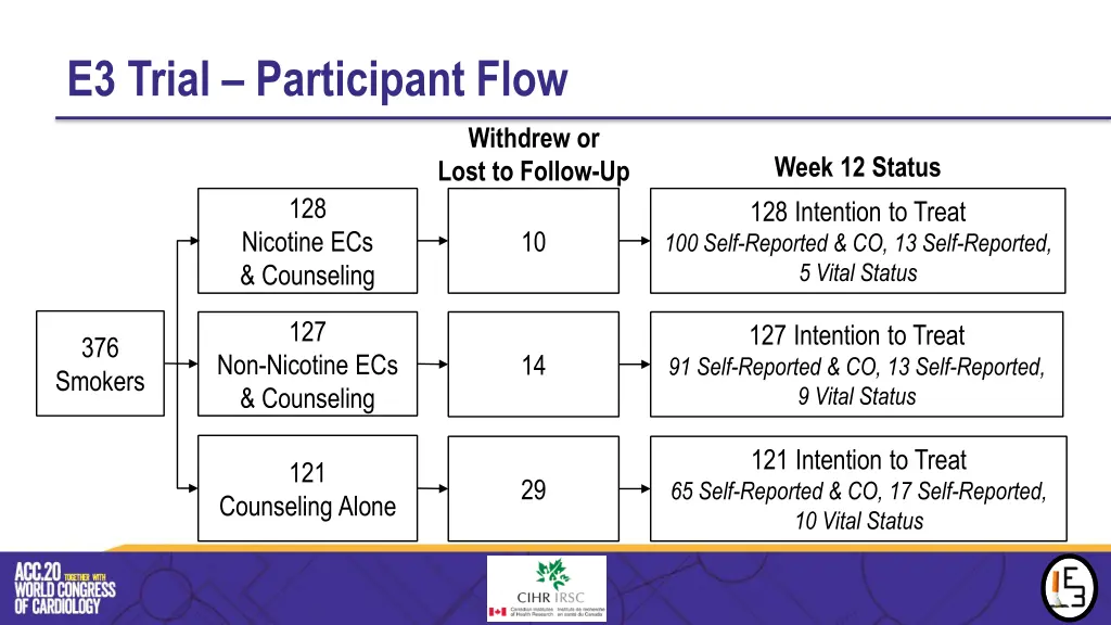 e3 trial participant flow