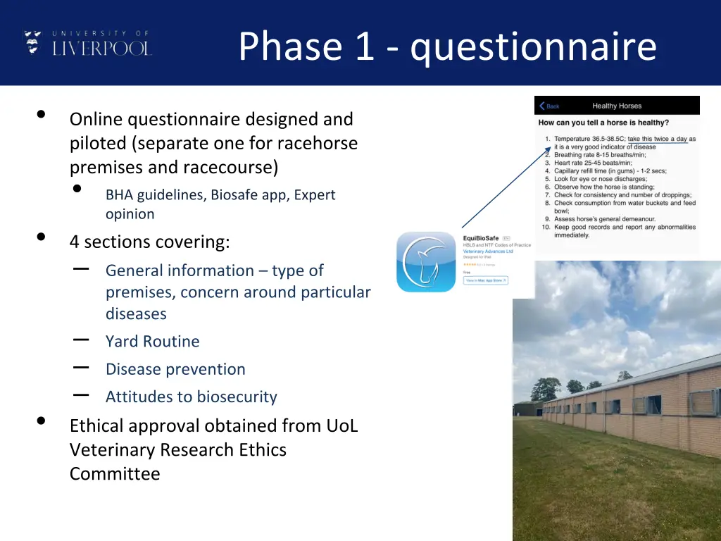 phase 1 questionnaire