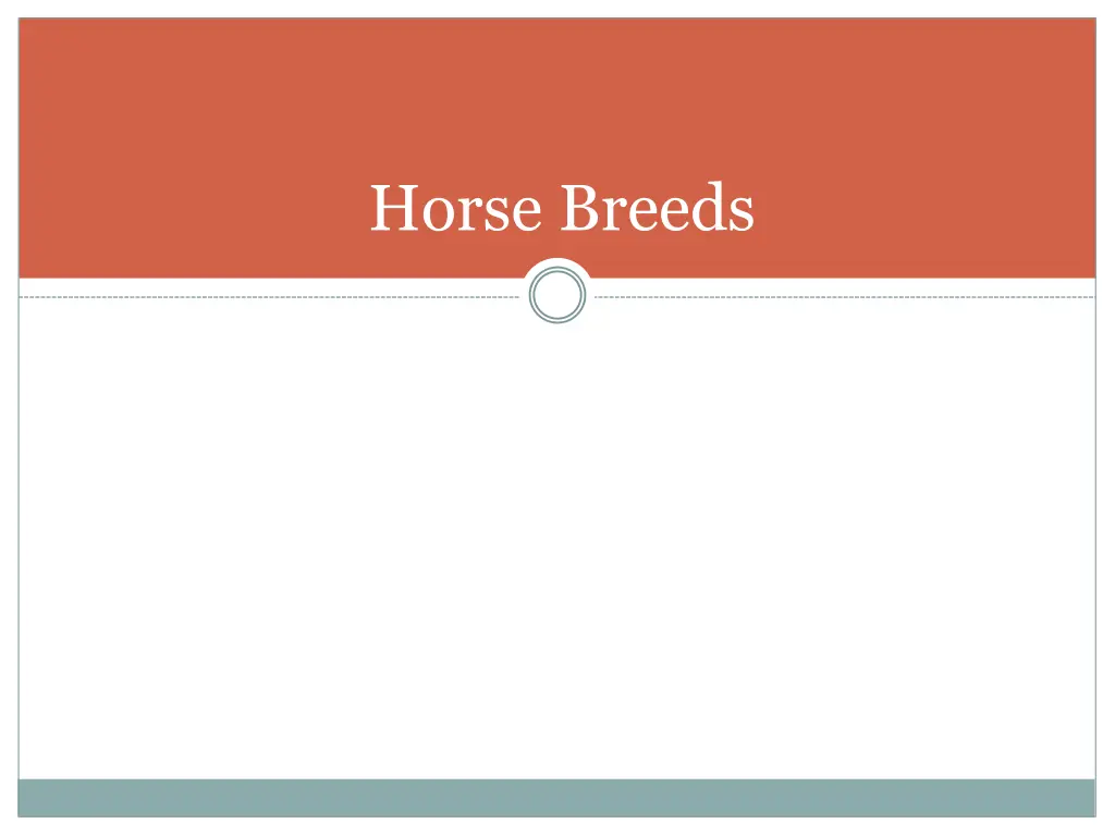 horse breeds