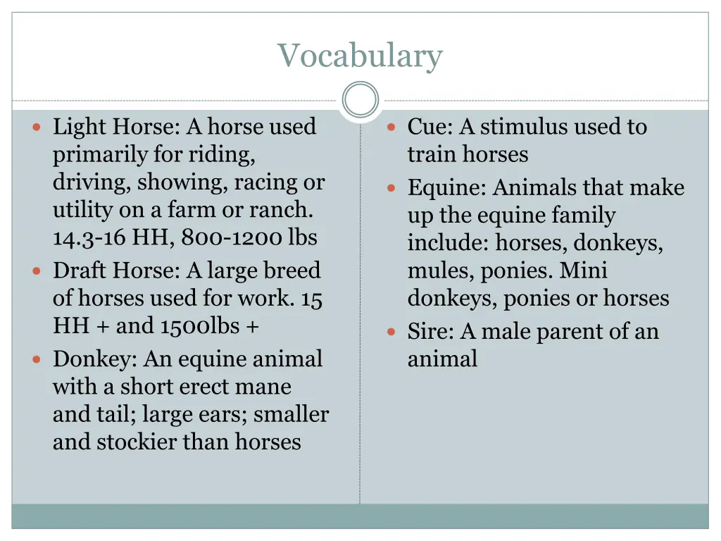 vocabulary 1