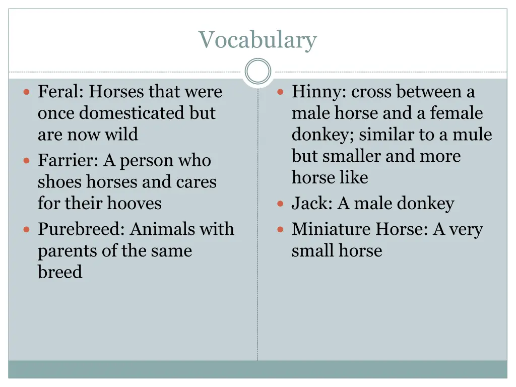 vocabulary 2