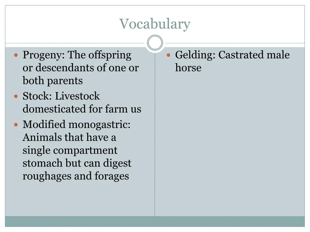 vocabulary 3