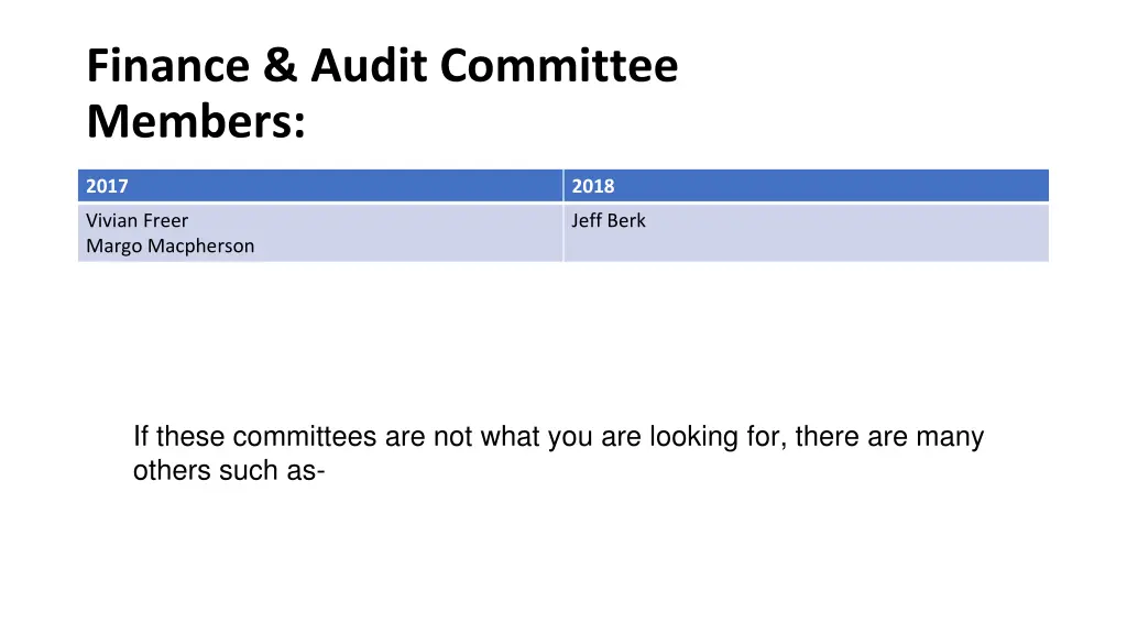 finance audit committee members