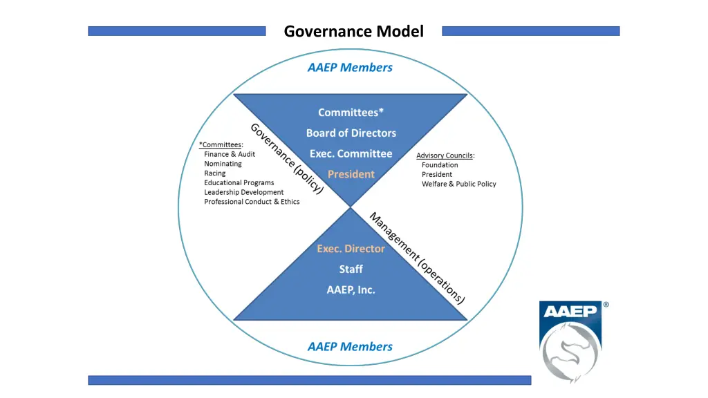 governance model