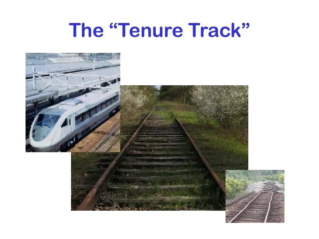 the tenure track