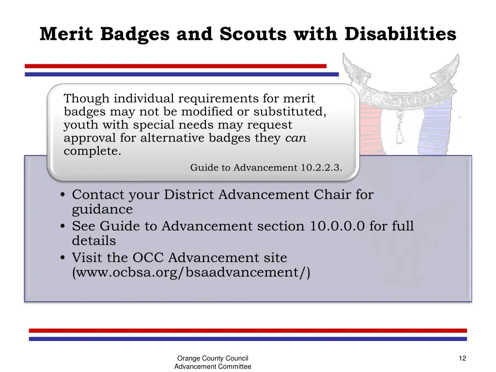 merit badges and scouts with disabilities