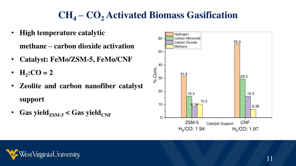 ch 4 co 2 activated biomass gasification