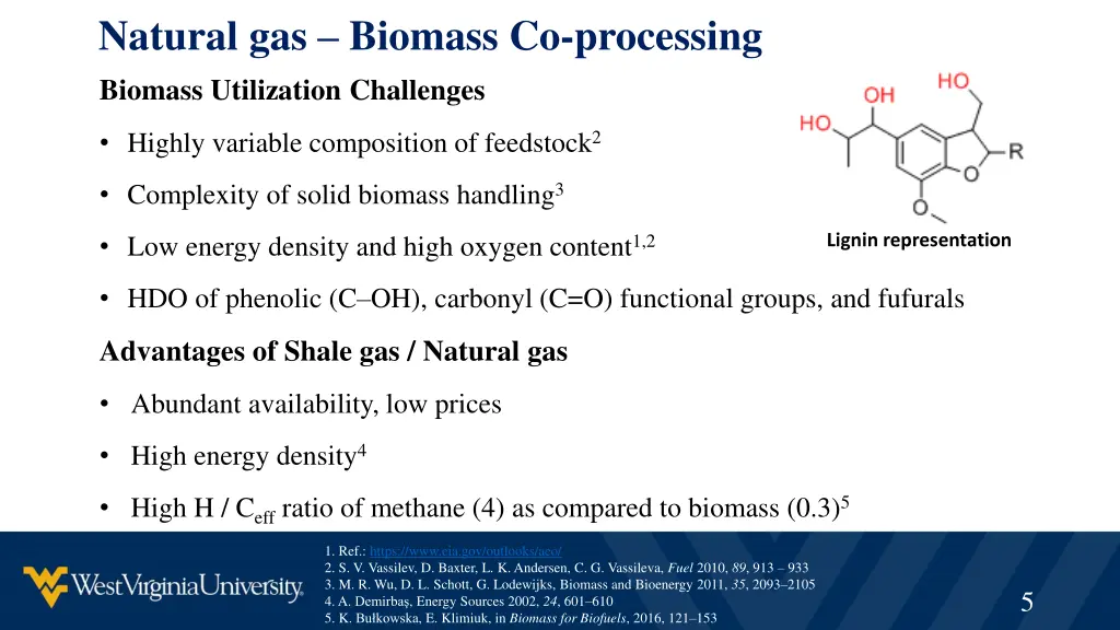 natural gas biomass co processing biomass