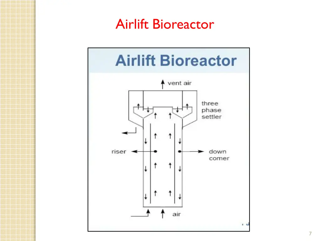 airlift bioreactor