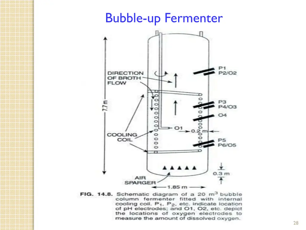 bubble up fermenter