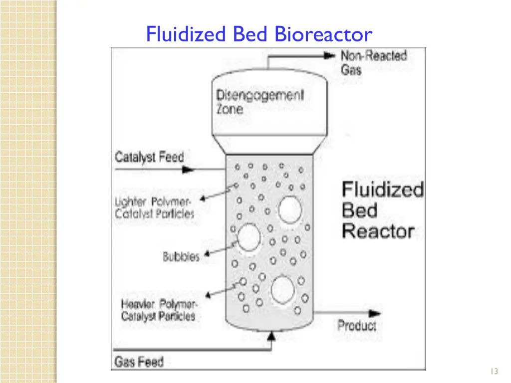 fluidized bed bioreactor