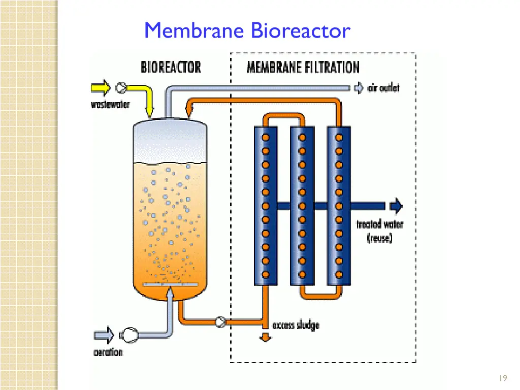 membrane bioreactor