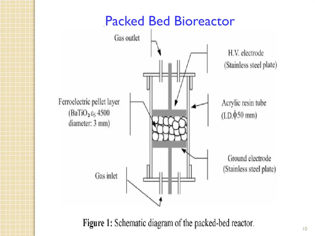 packed bed bioreactor