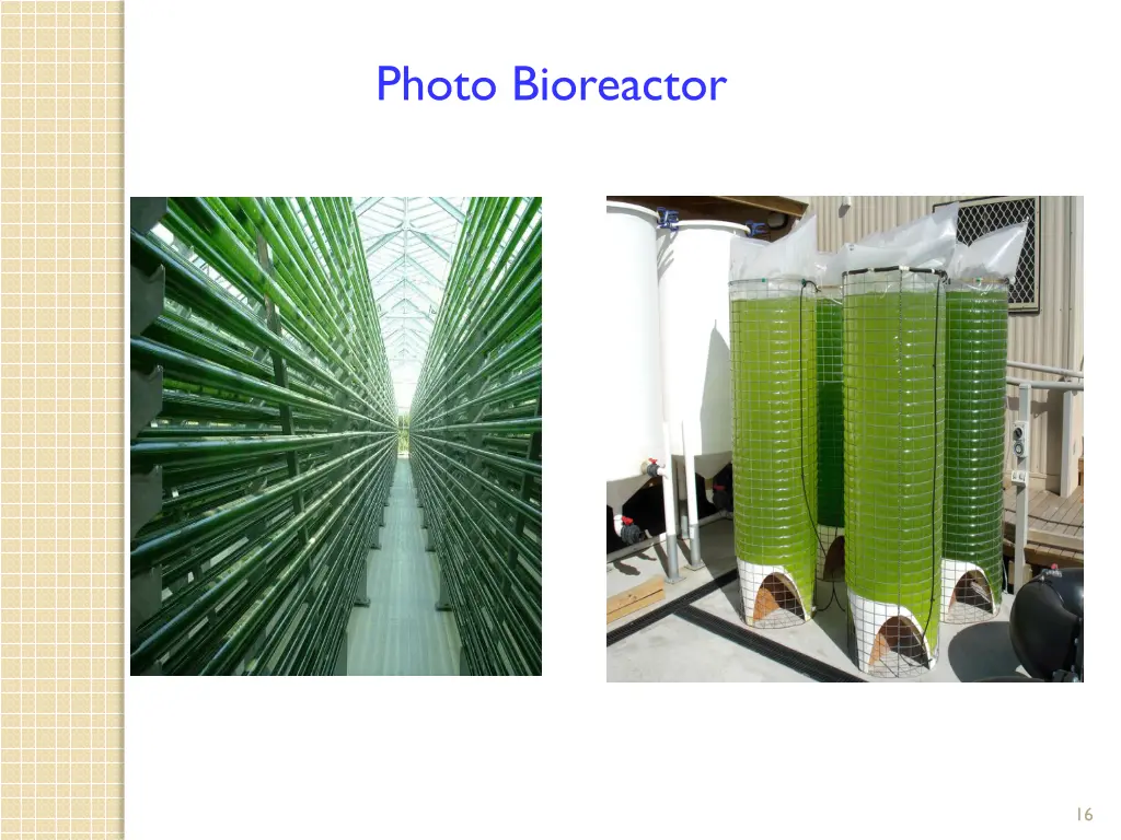 photo bioreactor