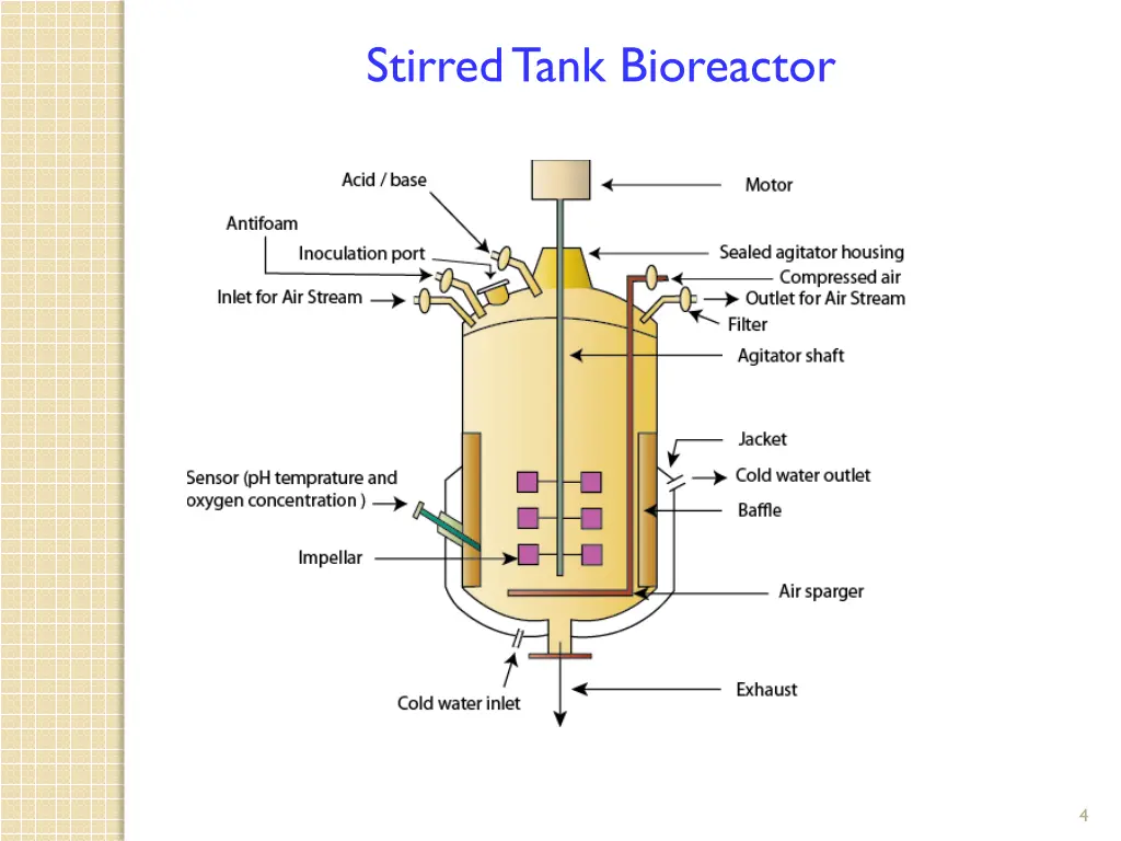 stirred tank bioreactor