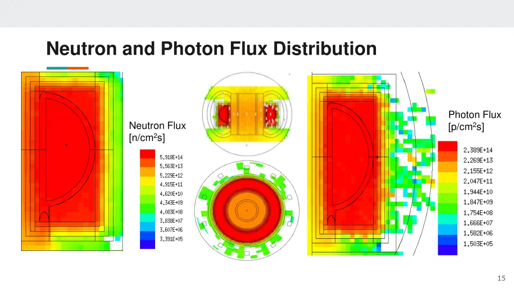 neutron and photon flux distribution