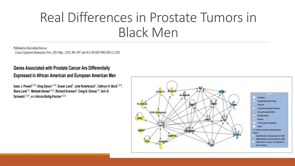 real differences in prostate tumors in black men 1