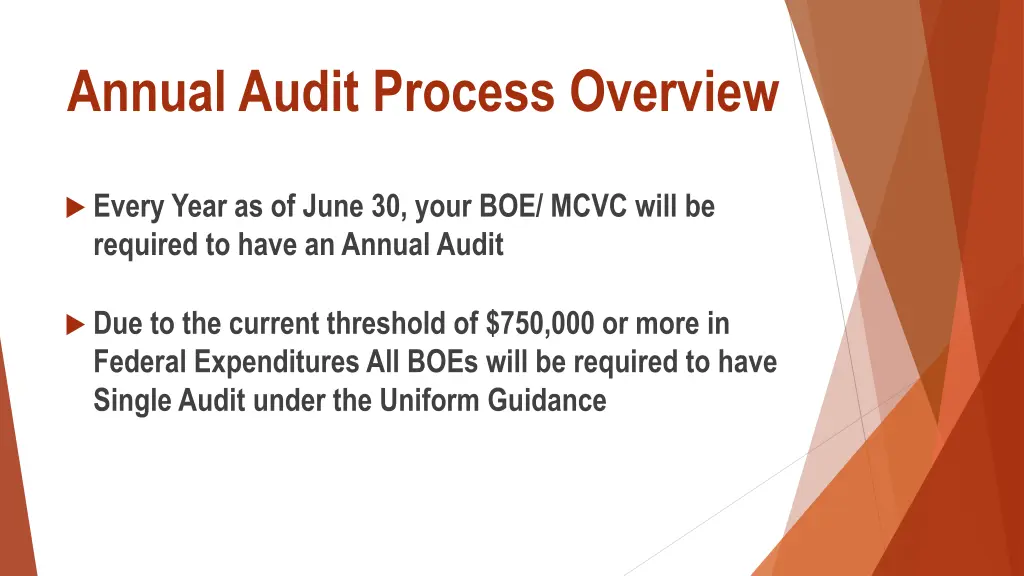 annual audit process overview