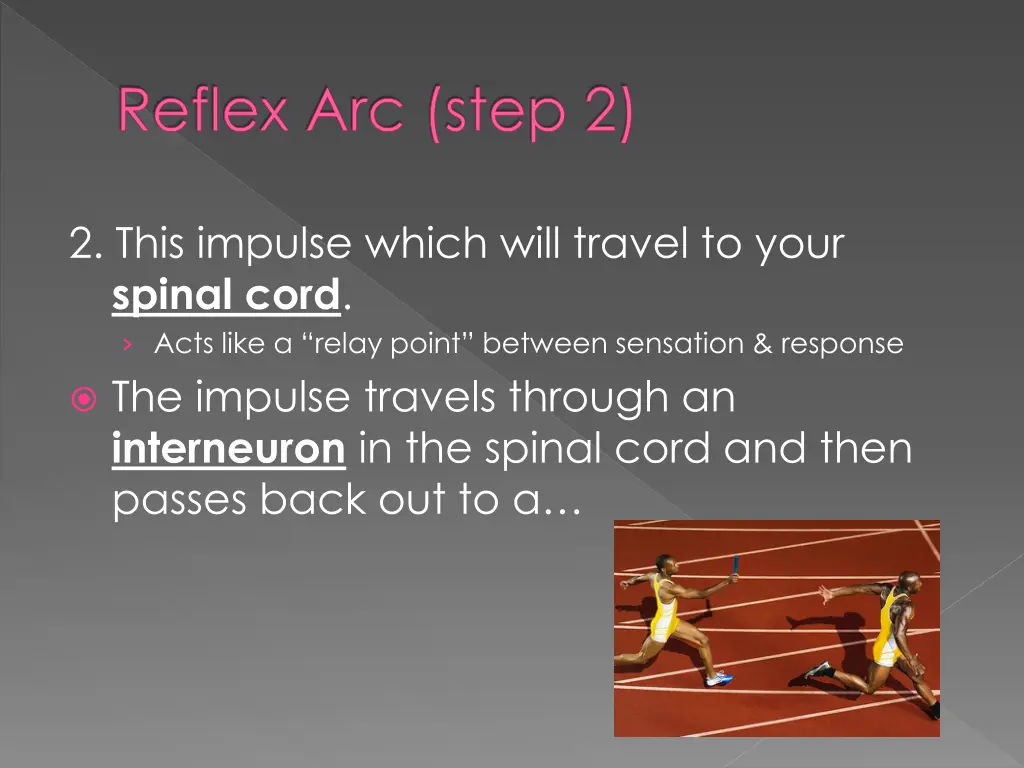 reflex arc step 2