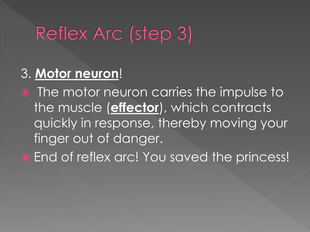 reflex arc step 3