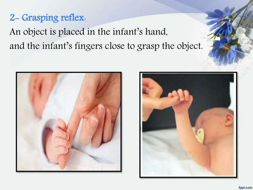 2 2 grasping reflex an object is placed