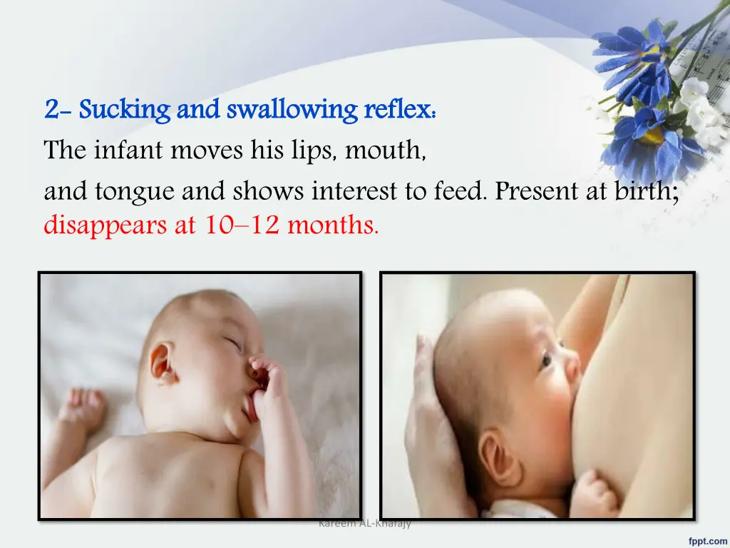 2 2 sucking and swallowing reflex the infant