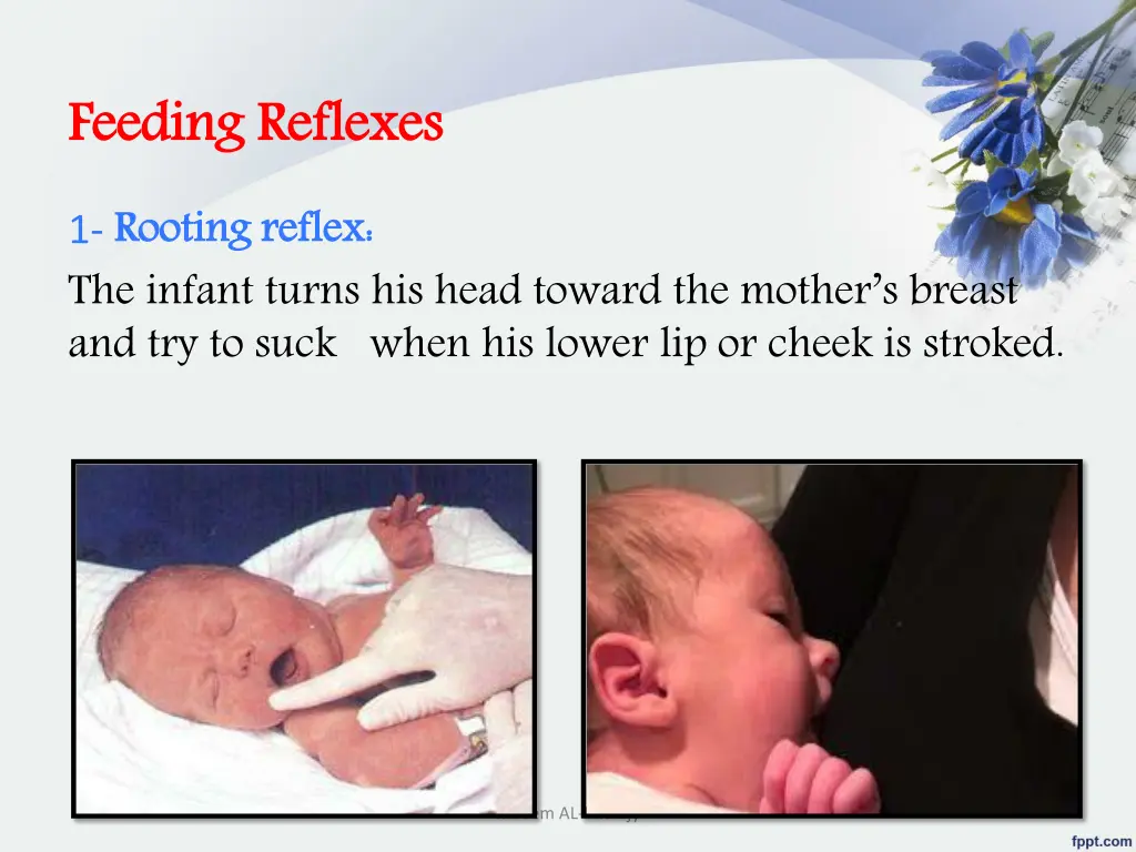 feeding reflexes