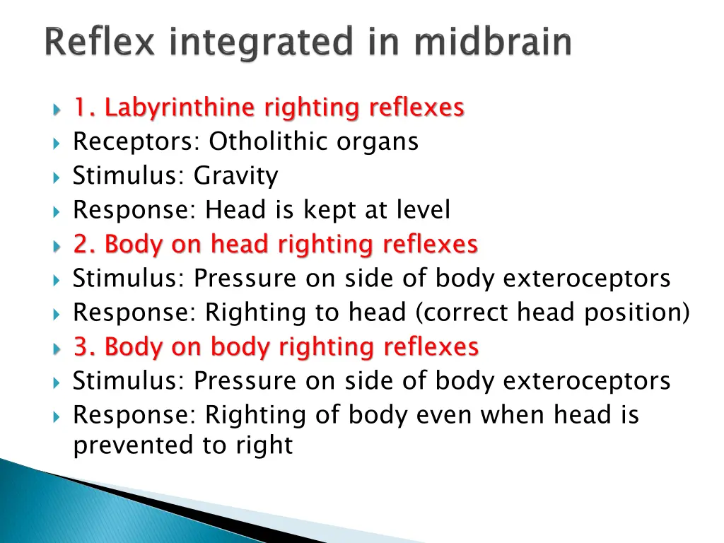 1 labyrinthine righting reflexes receptors