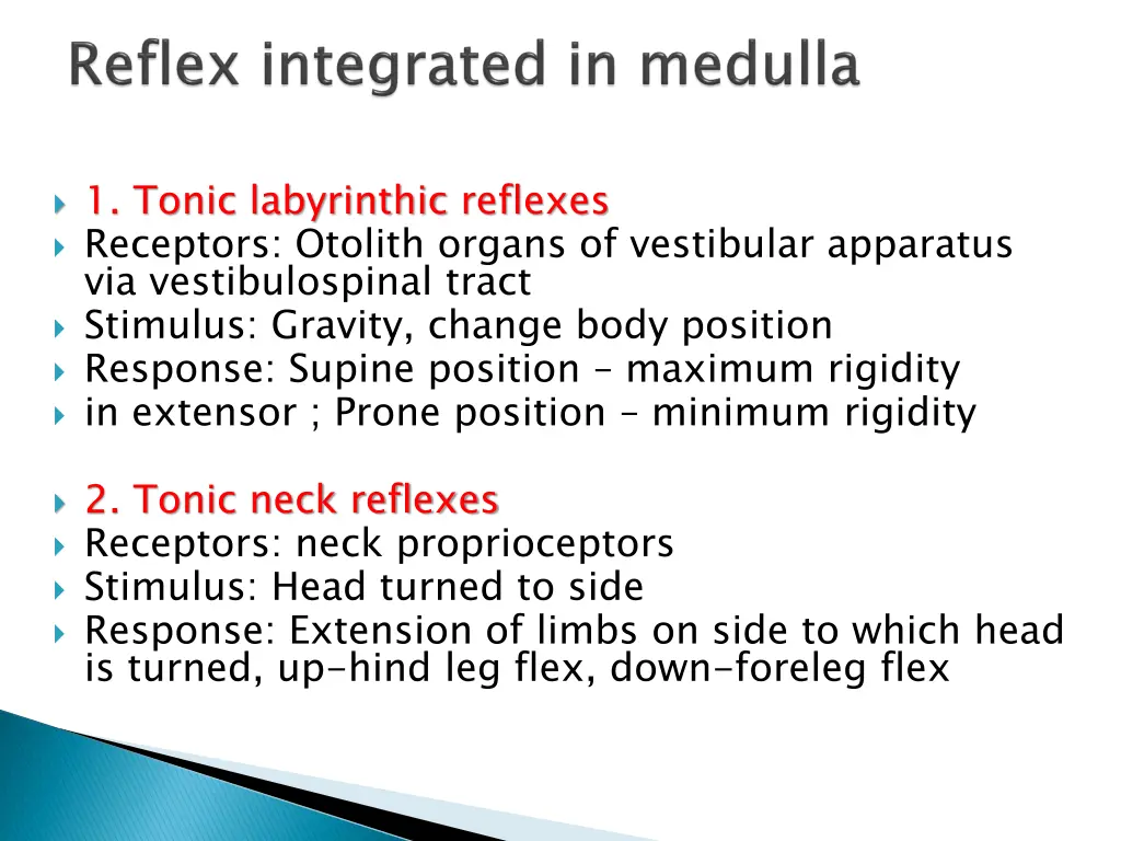 1 tonic labyrinthic reflexes receptors otolith