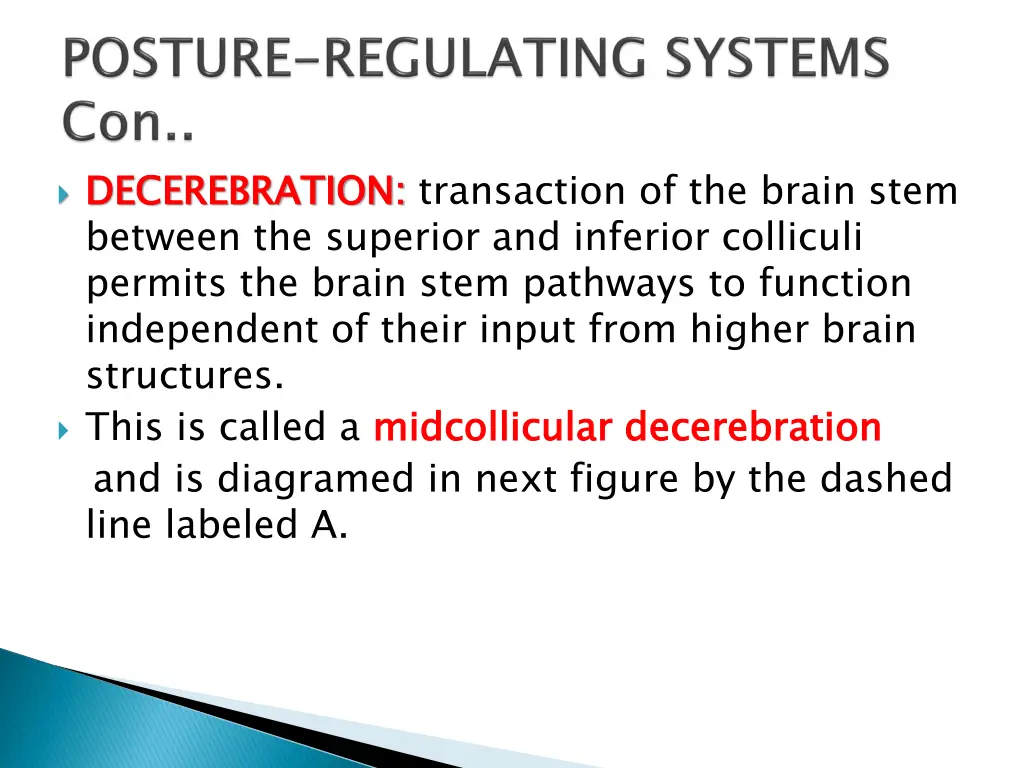 decerebration between the superior and inferior