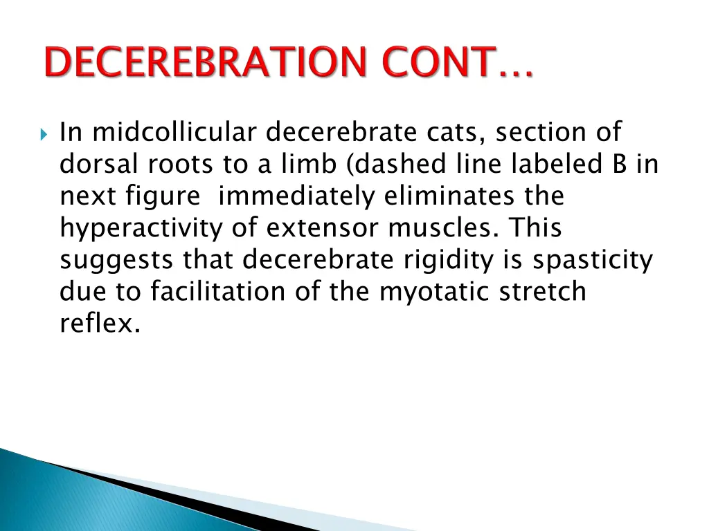 in midcollicular decerebrate cats section