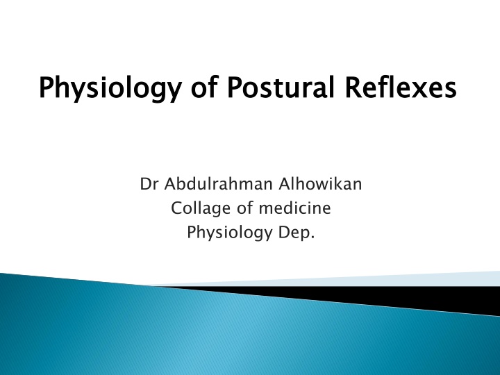 physiology of postural reflexes