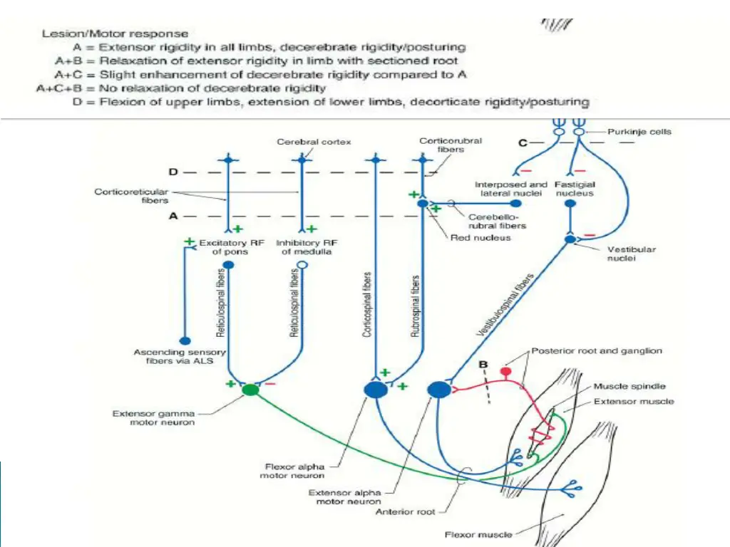 slide13