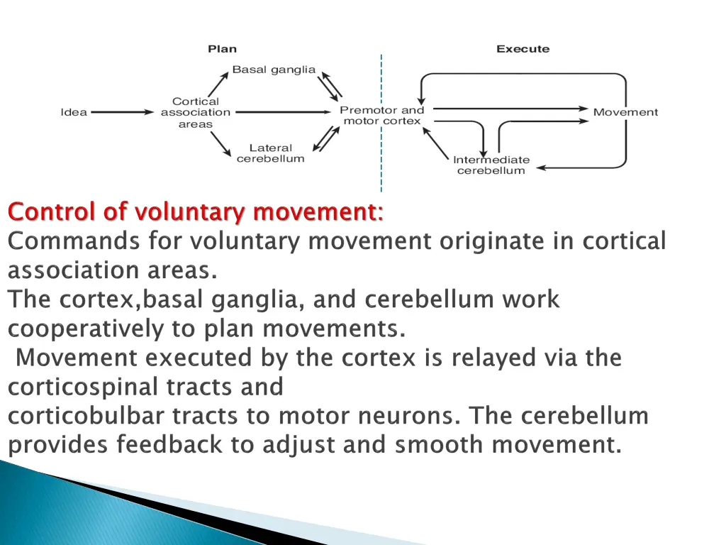 slide7