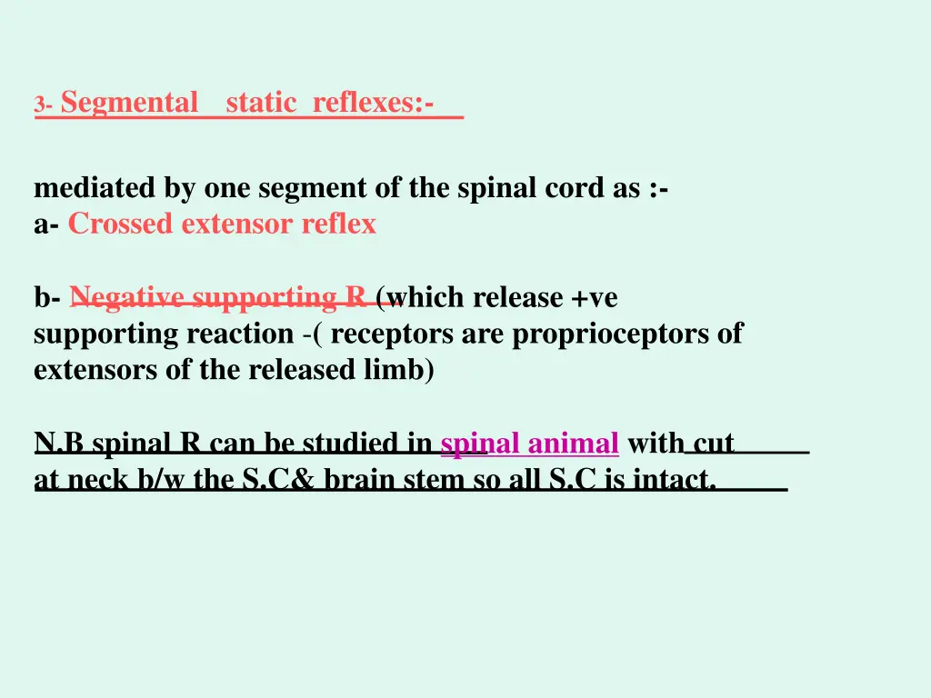 3 segmental static reflexes