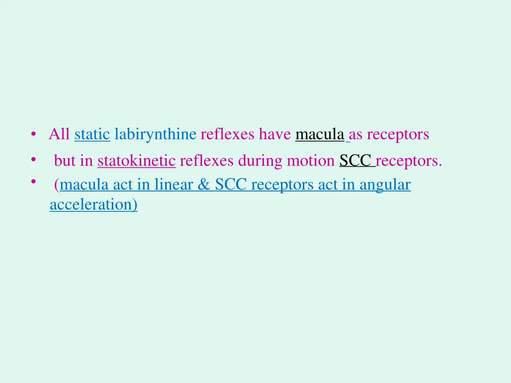 all static labirynthine reflexes have macula