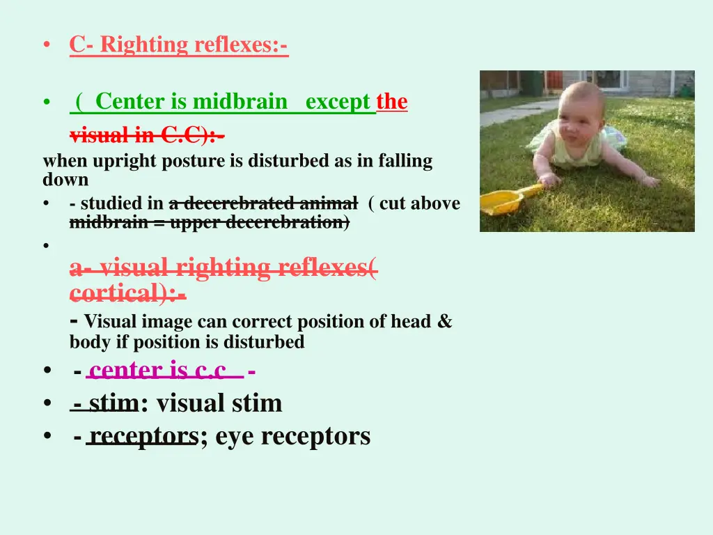 c righting reflexes